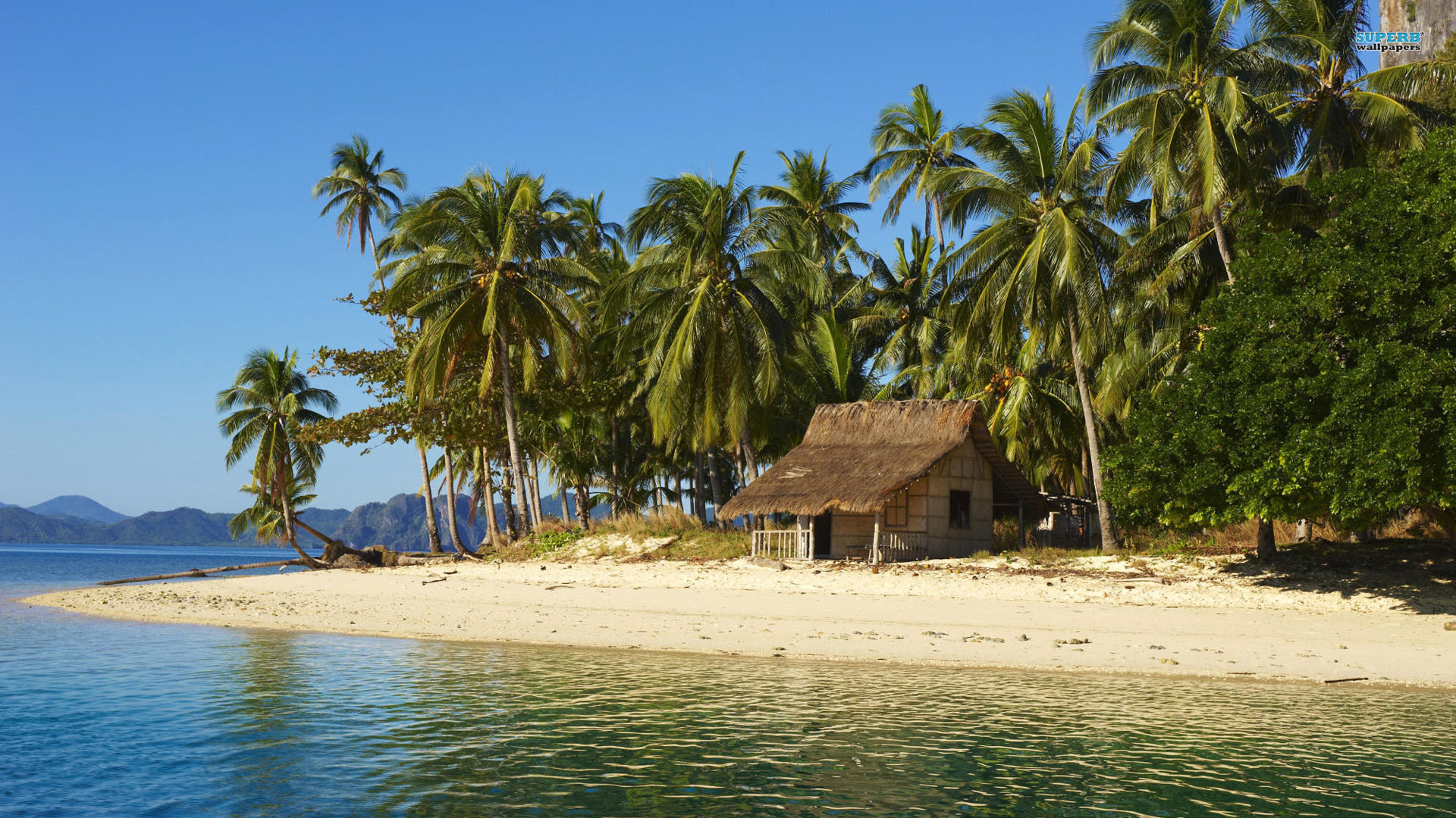 Beach House On Tropical Island HD Wallpaper