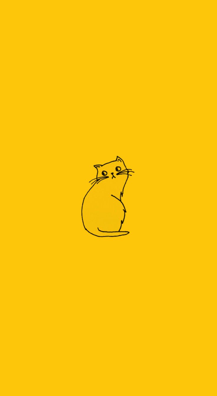 Cat Wallpaper iPhone Yellow Aesthetic