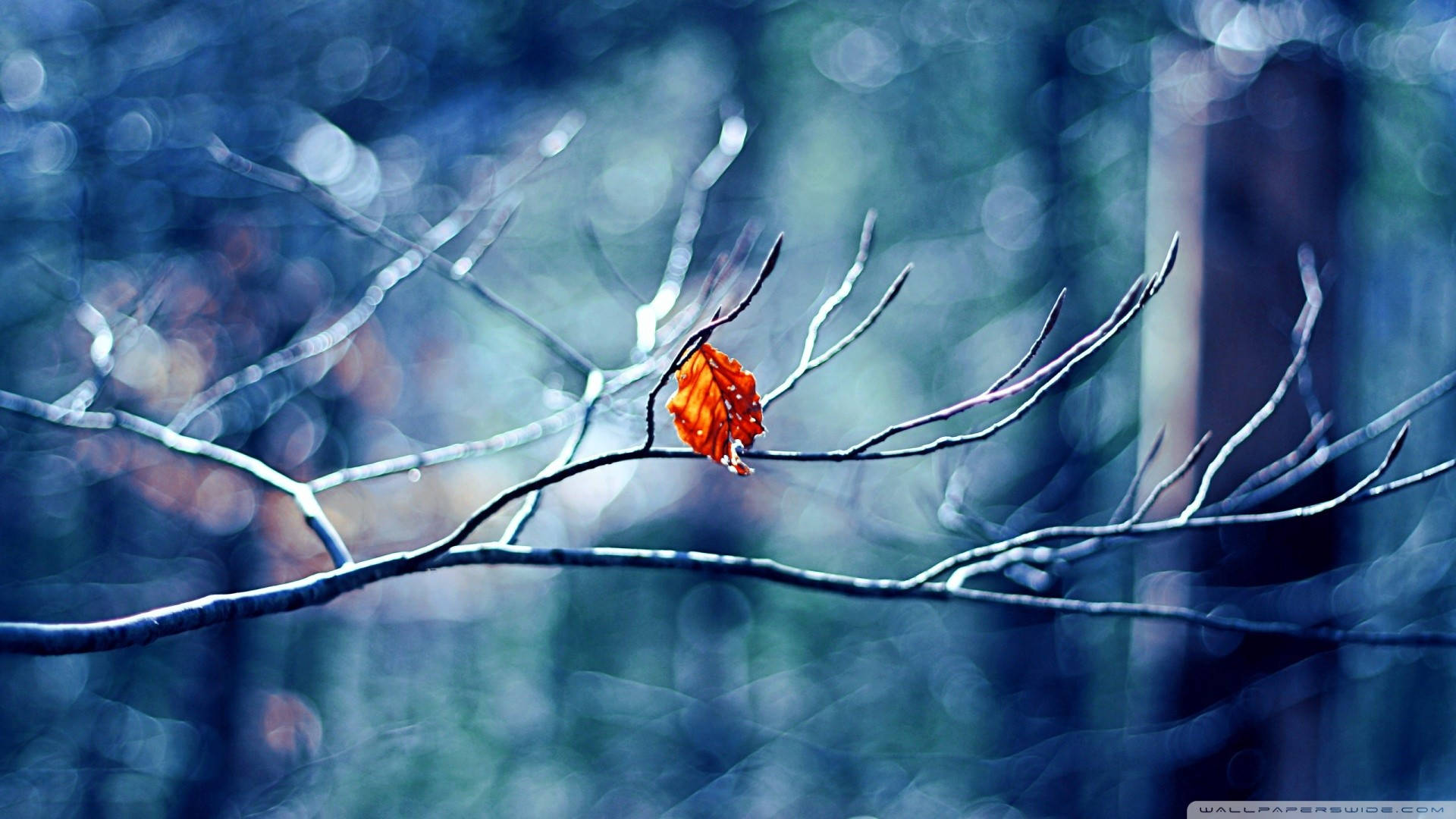 HD Winter Desktop Wallpaper