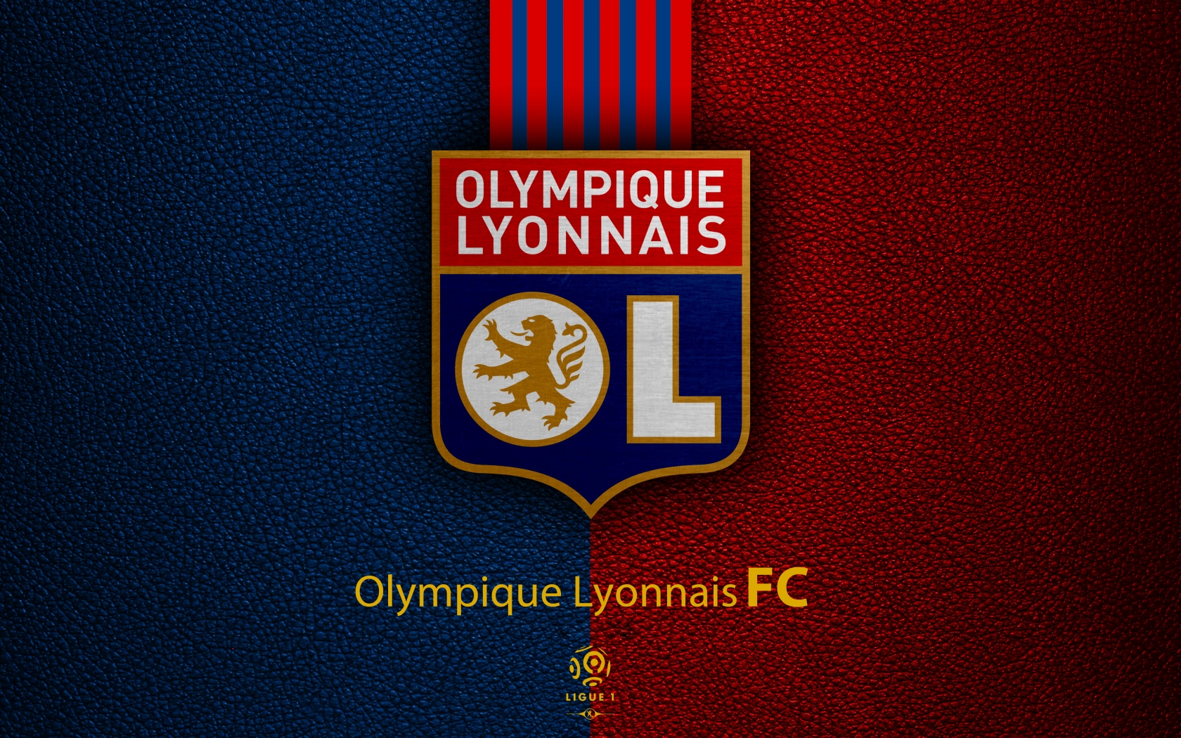 Olympique Lyonnais 4k Ultra HD Wallpaper Background