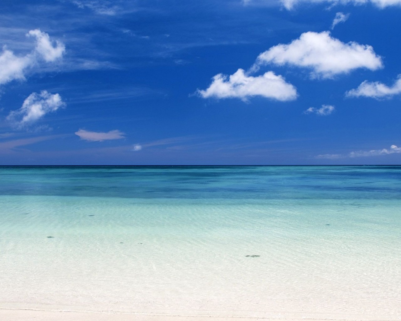 Beautiful Caribbean Beach High Resolution Windows 8 Wallpaper HD 1280x1024