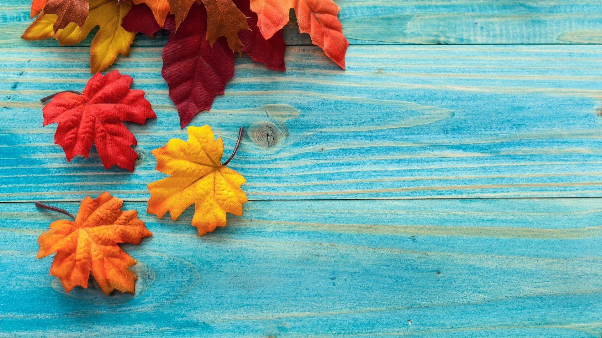 Cute Autumn Desktop Wallpaper