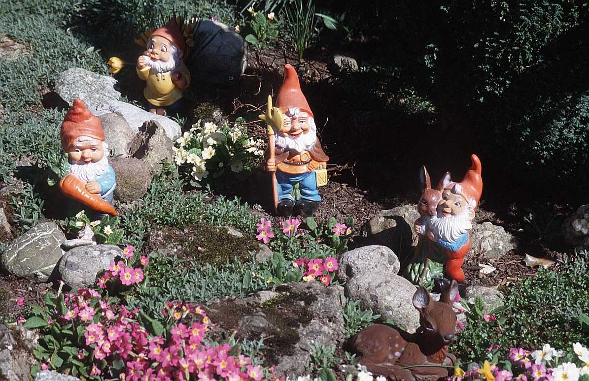 Garden Gnome Wallpaper