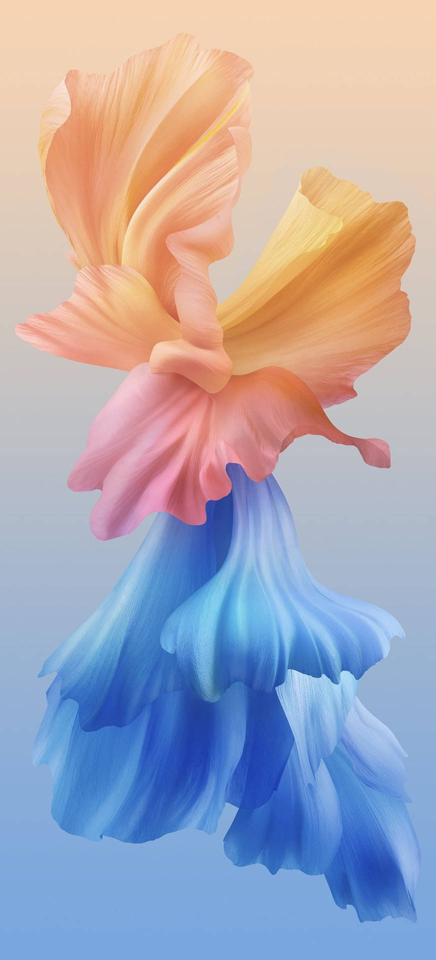 Vivo Y20 Wallpaper