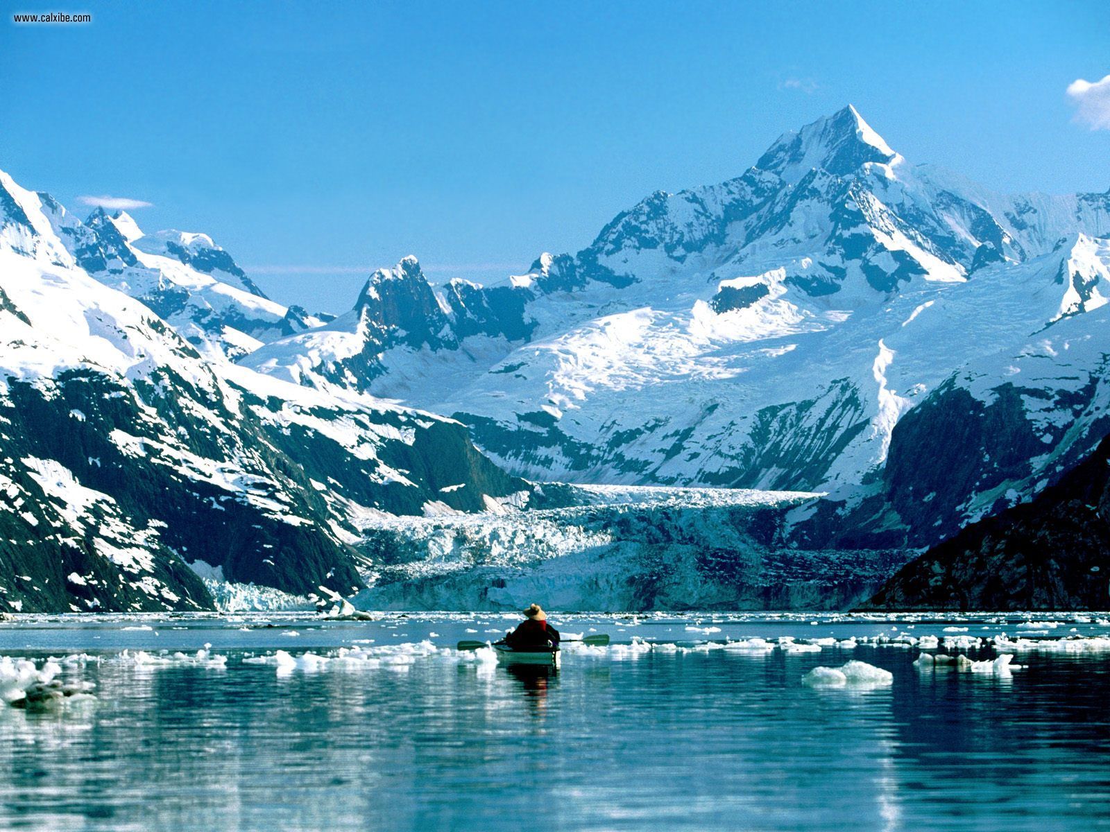 Nature Kayaking In Glacier Bay Alaska Picture Nr