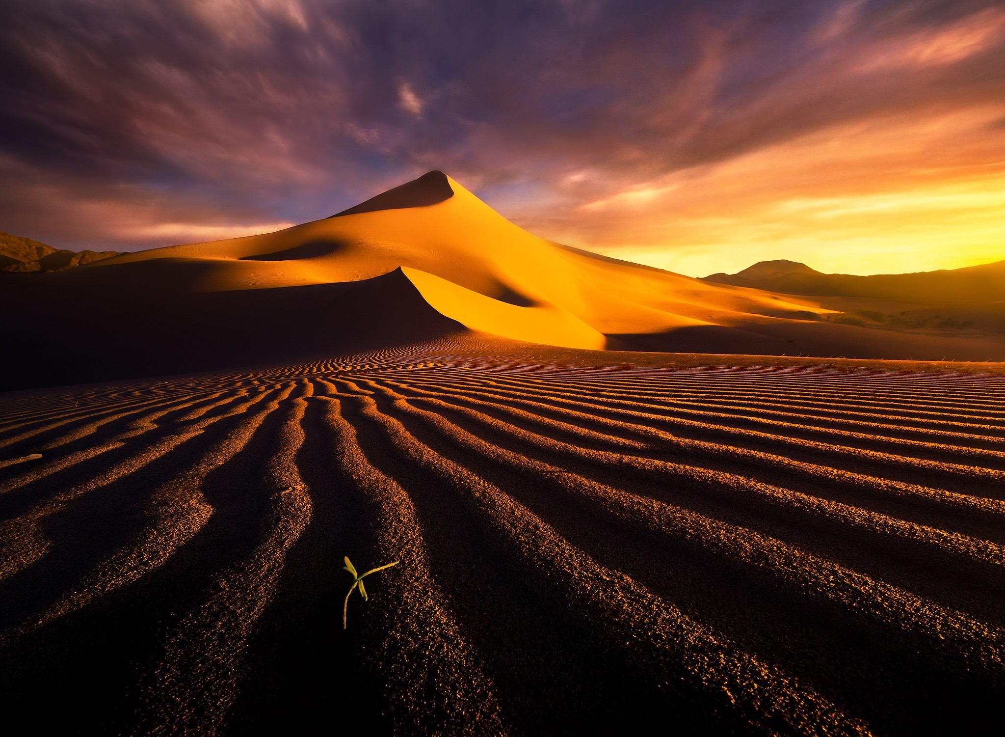 Desert Landscape Dune Wallpaper HD