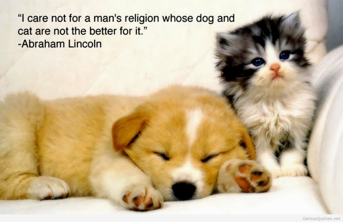 Free download Animals Quotes quotes Part 5 [1200x777] for your ...