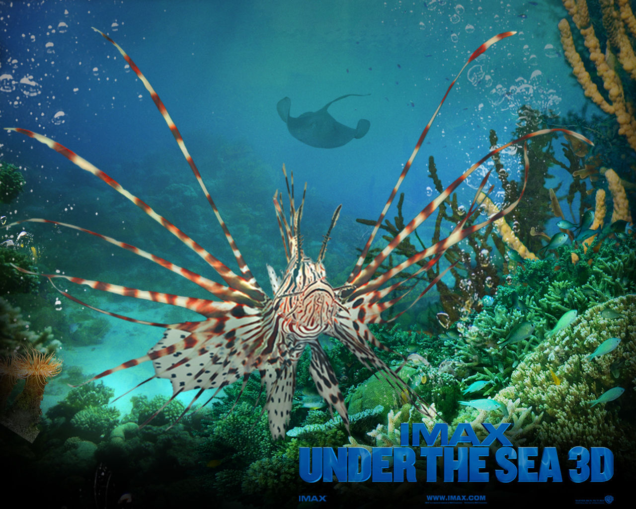 Under The Sea 3d Wallpaper Size More