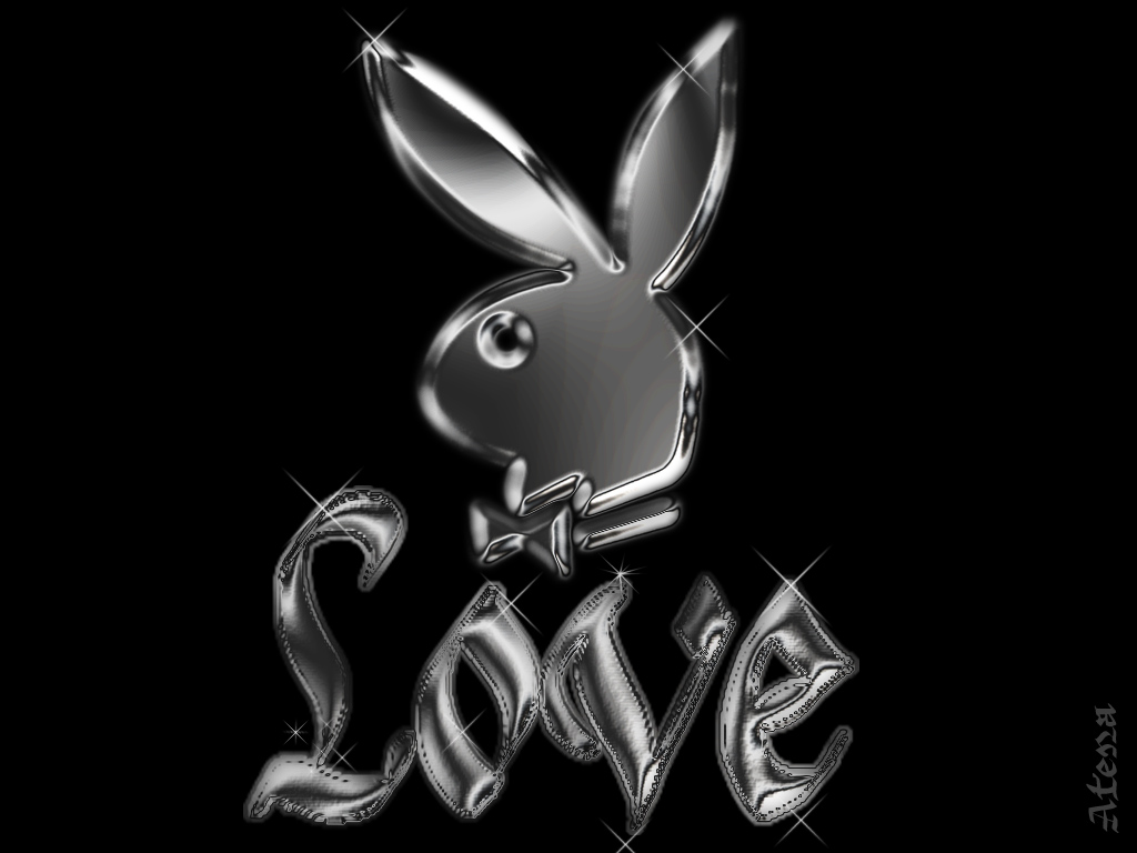 Pin Playboy Bunny Logo Wallpapers