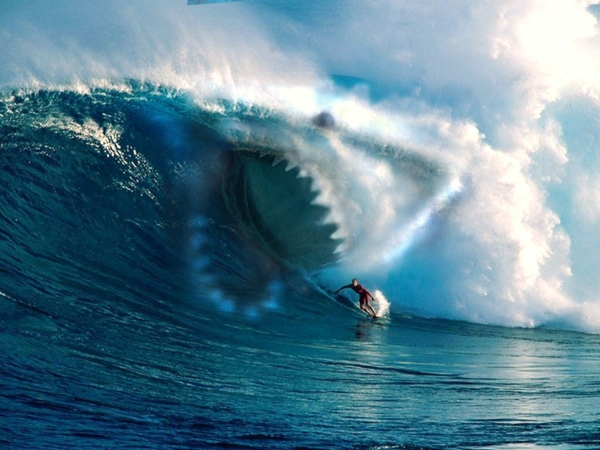 Rip Curl Surfing Wallpaper