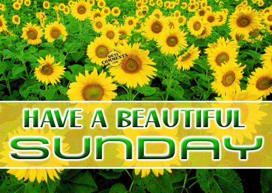 Happy Holiday And Have A Great Sunday Wallpaper Web Enikz