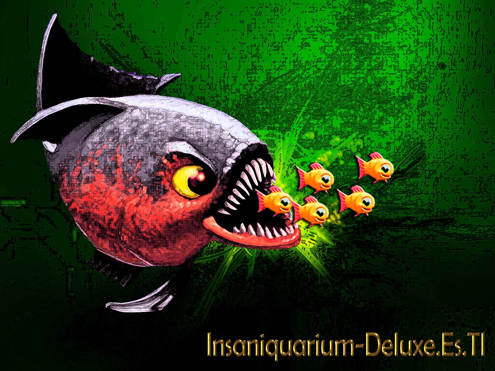 insaniquarium free download