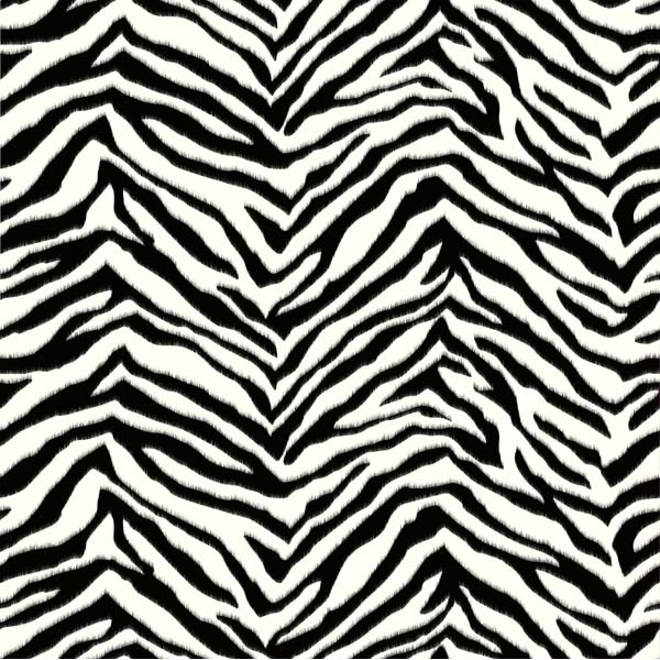  Zebra Stripes   Miya   Borders by Chesapeake Wallpaper by Chesapeake