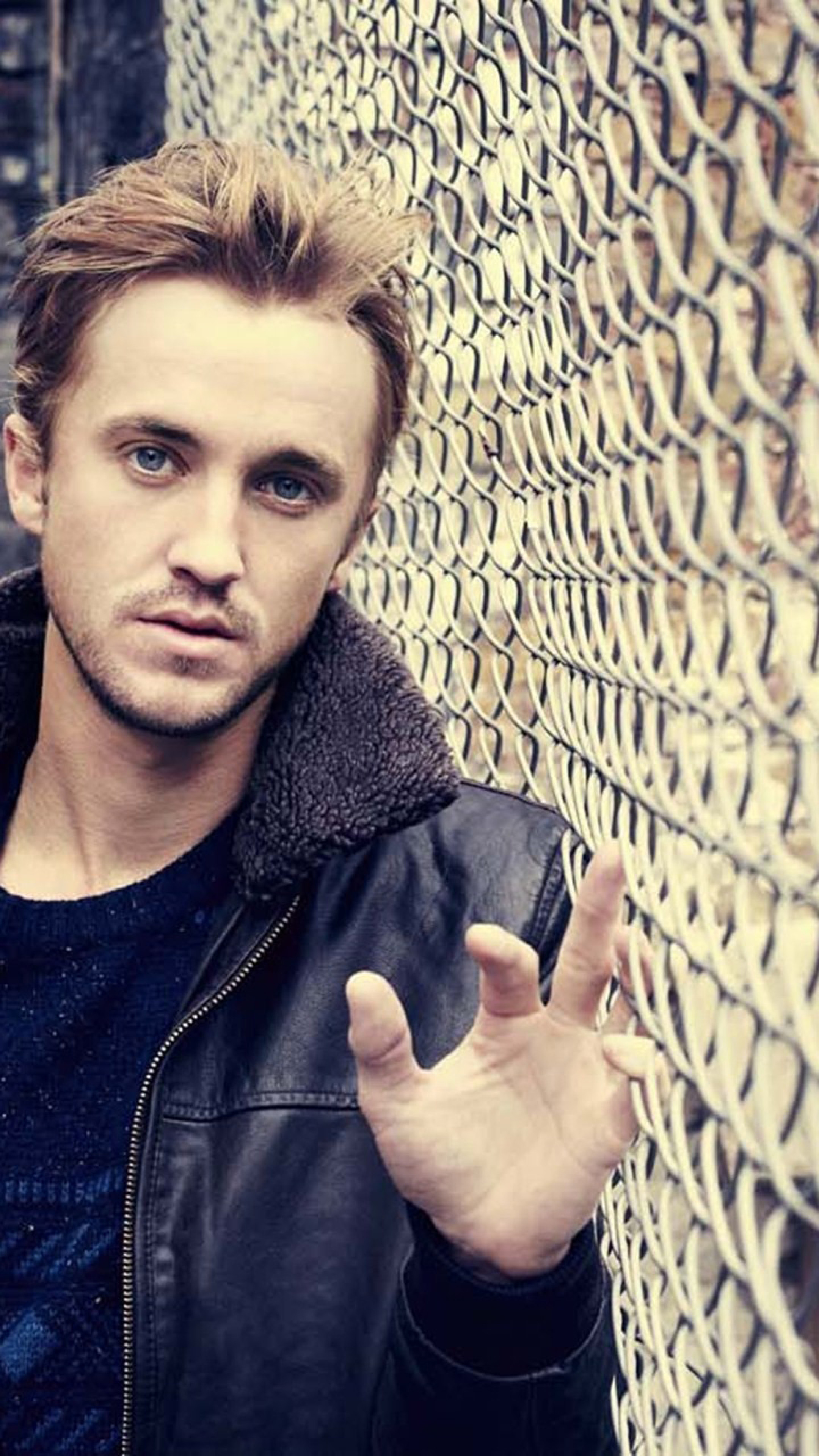 Tom Felton Wallpaper