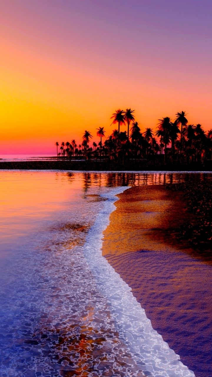 Wallpaper Beach Tropics Sea Sand Palm Trees Sunset