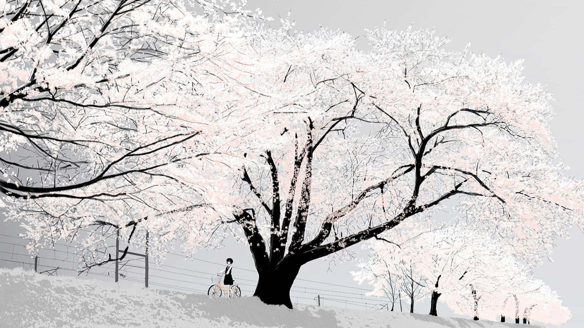 Fondos De Fotos Anime Blanco Wallpaper