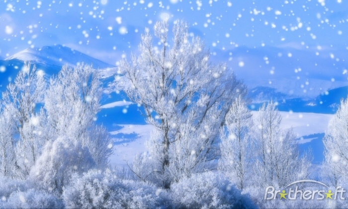 Image Winter Snow Falling Screensavers Pc Android