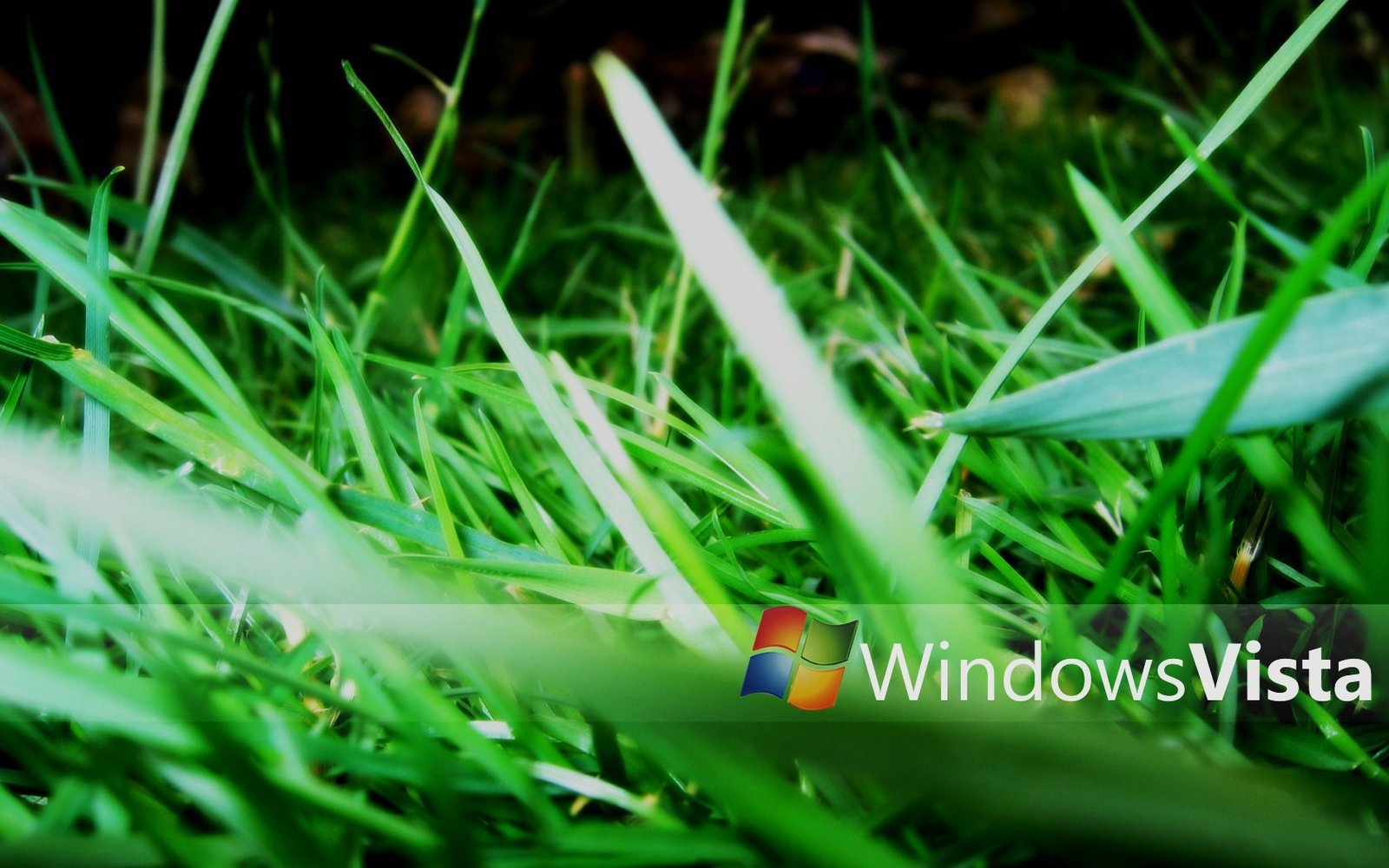 Windows Vista Grass Wallpaper By Valorieketlyn