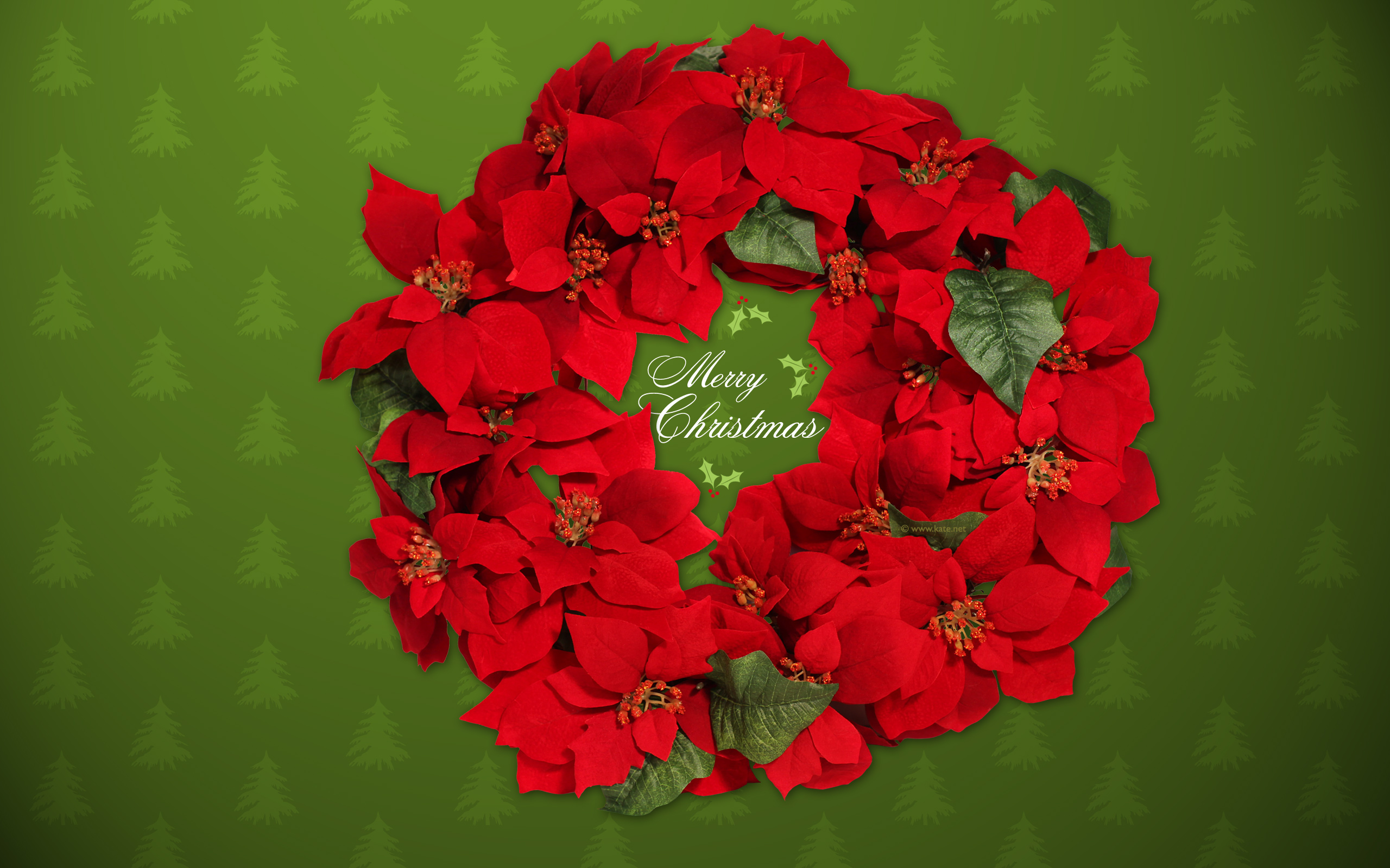 Christmas Wreaths Photos Wallpaper