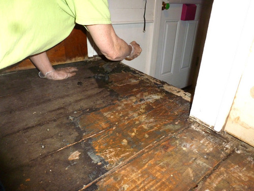 Wagner Wallpaper Steamer Home Depot, How Do You Remove Linoleum Glue From Hardwood Floors