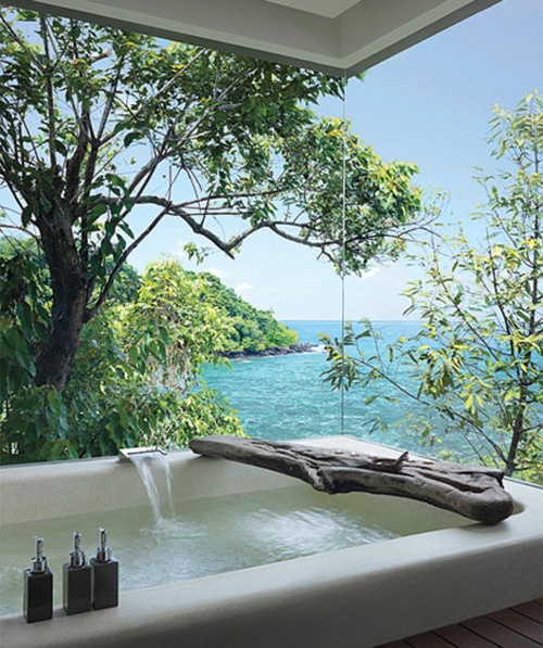 views around would make you relax and enjoy bathing experience have a 500x597