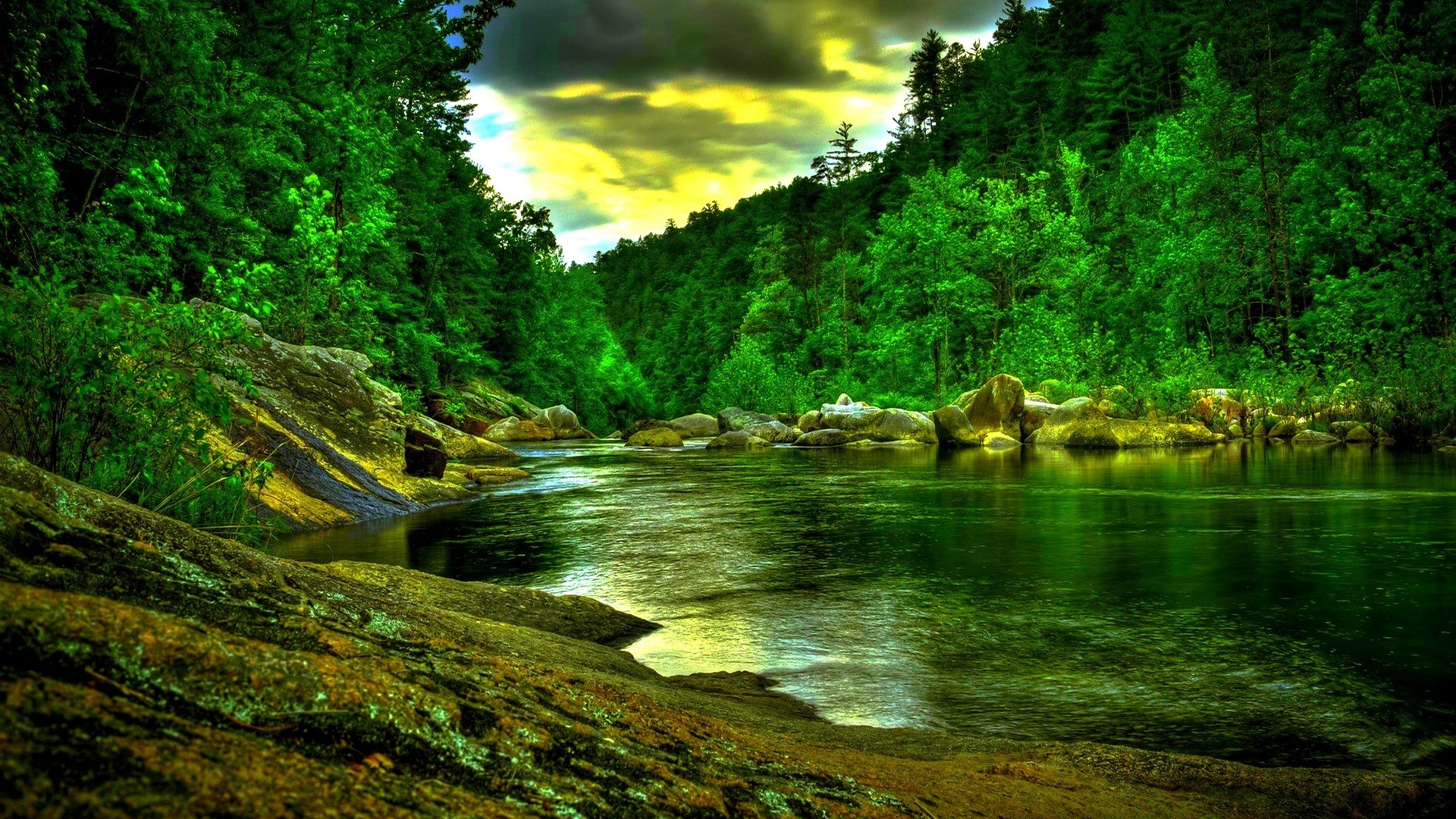 A lush green forest reflected in a calm river at sunset, creating a tranquil nature scene