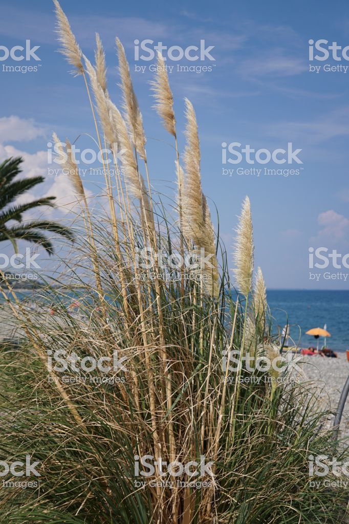 Mediterranean Background Stock Photo Image Now Istock