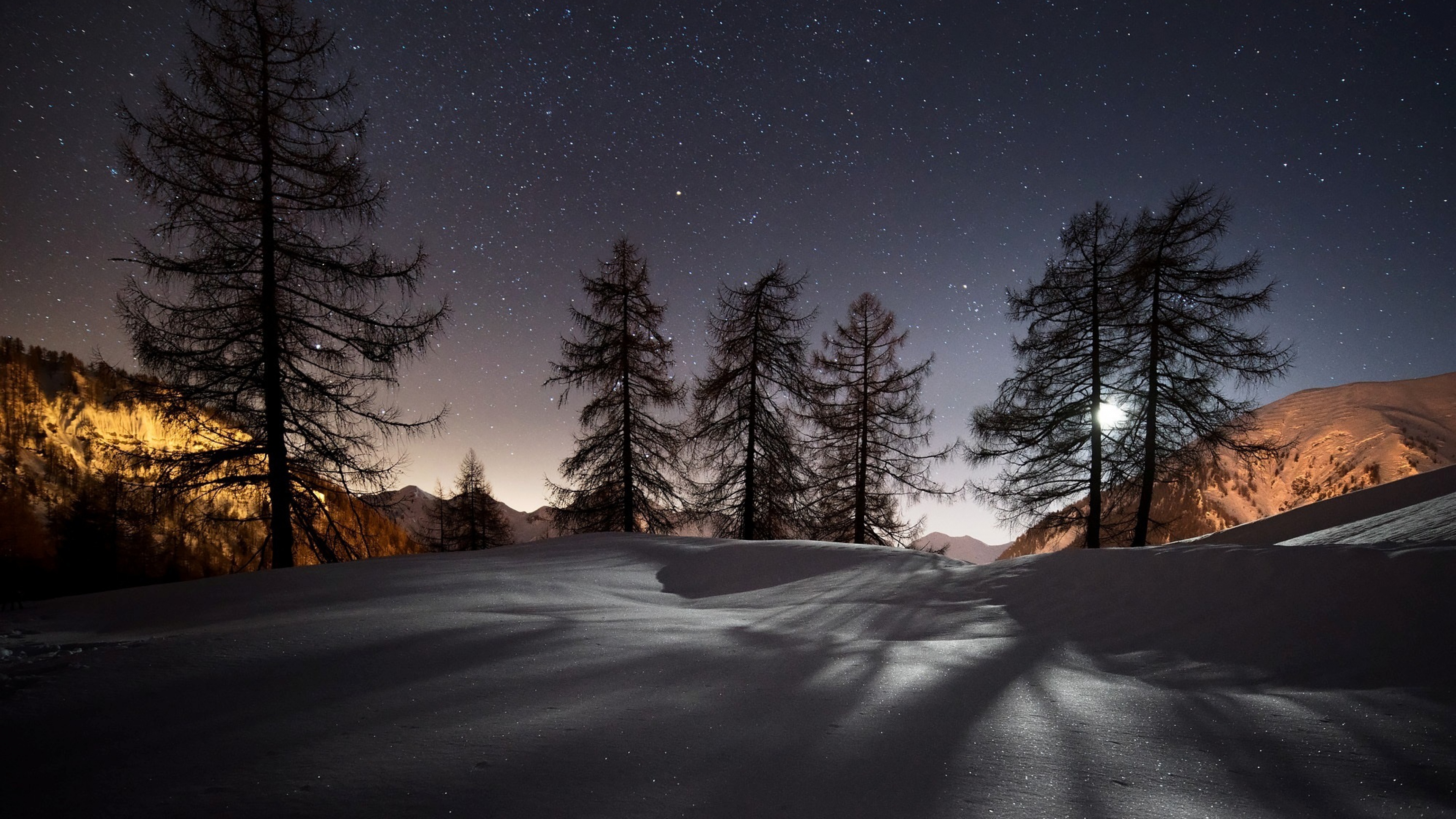 Wallpaper Winter Trees Snow Night Landscape 4k