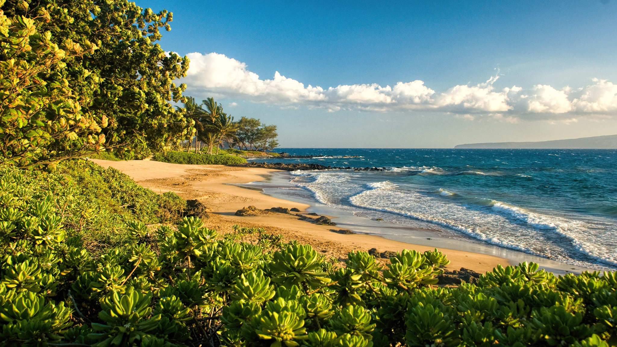 Top 10 Maui Island Wallpapers You Never Seen Before