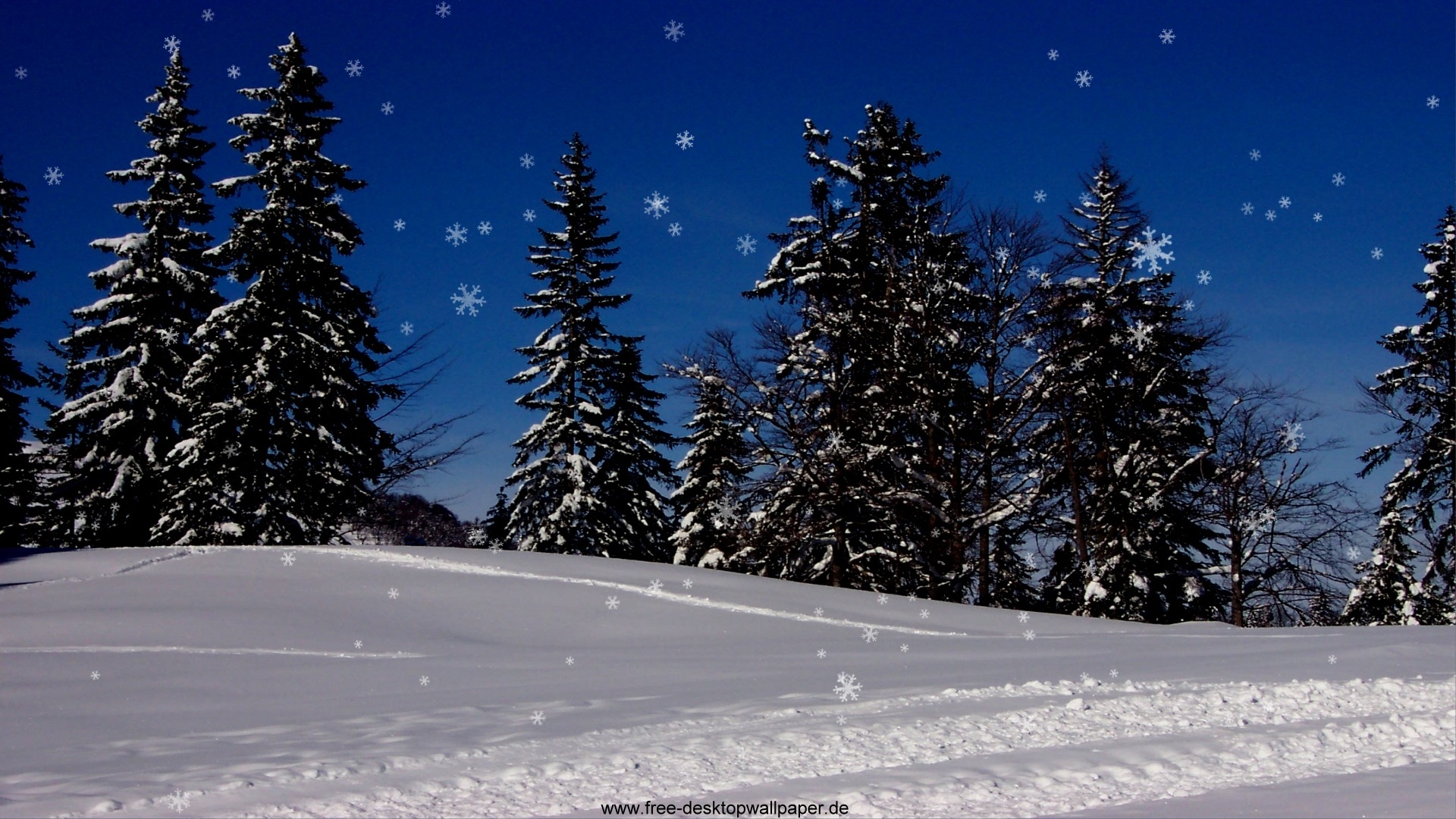 Nature Christmas Snow Widescreen Desktop Wallpaper