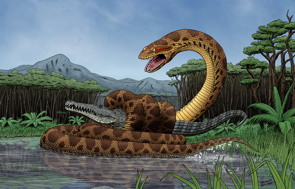 Titanoboa Facts And Pictures
