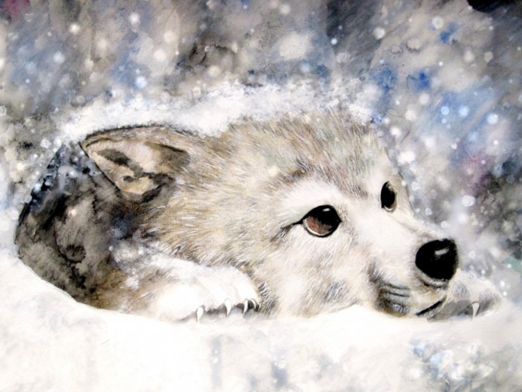 Snow Wolf Wallpaper Grasscloth