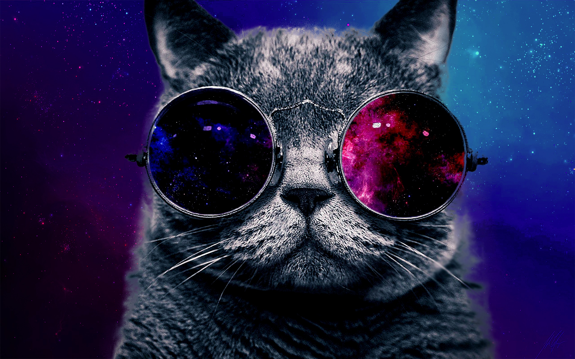 Cat With Galaxy Glasses High Sunglasses