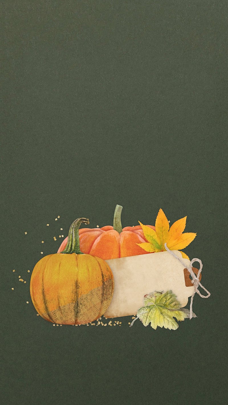 Aesthetic Autumn Pumpkin iPhone Wallpaper