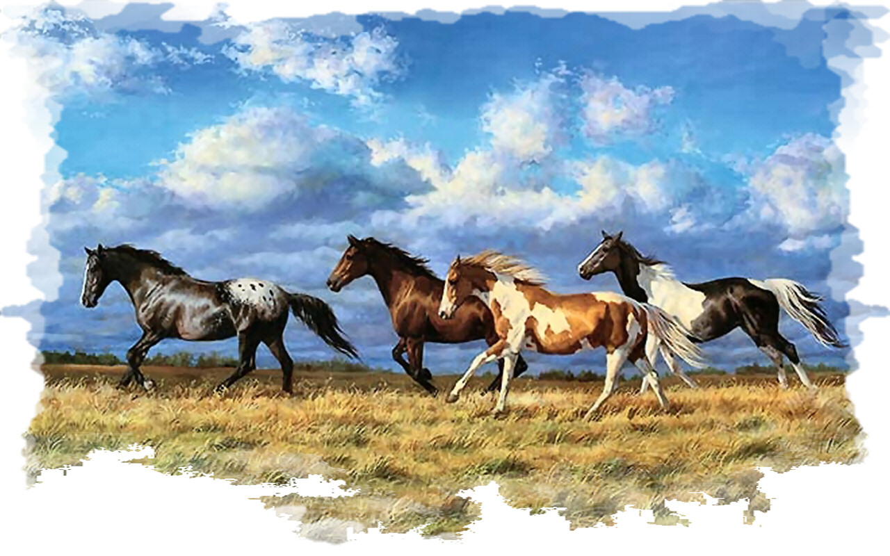 Running   Horses 1280x800