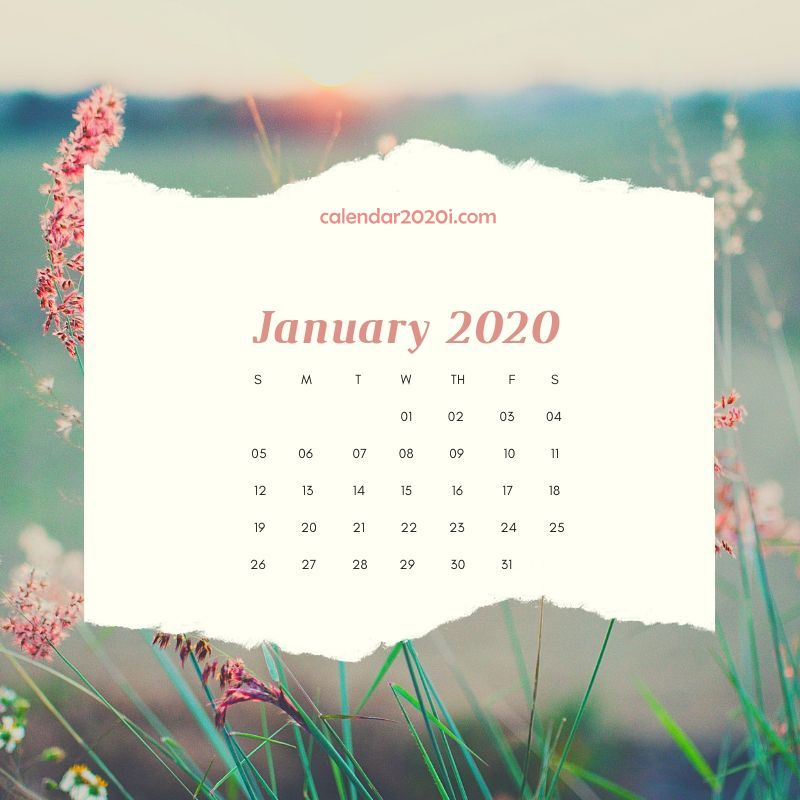 2020 Floral Printable Calendar Calendar 2020 800x800