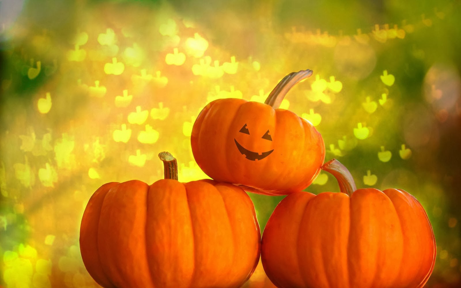 Tag Pumpkin Wallpaper Background Photos Image Andpictures For
