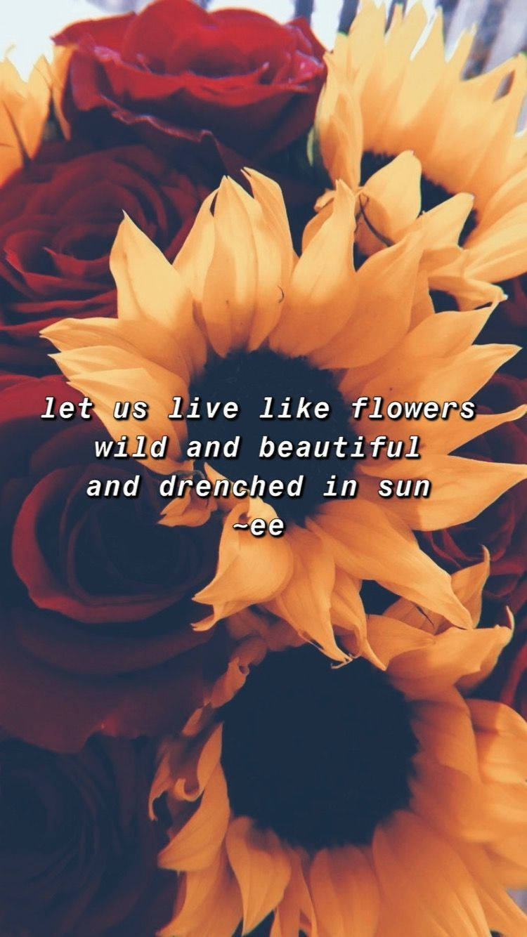 Sunflower And Roses Wallpaper