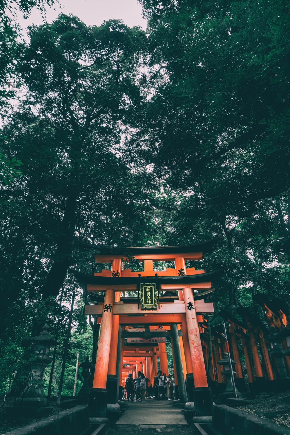 Fushimi Inari Taisha Pictures Image