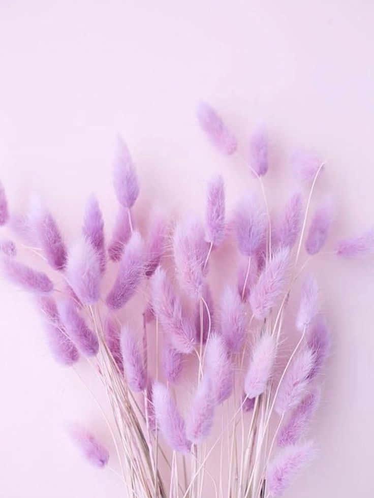 Download Captivating Pastel Purple Aesthetic Background