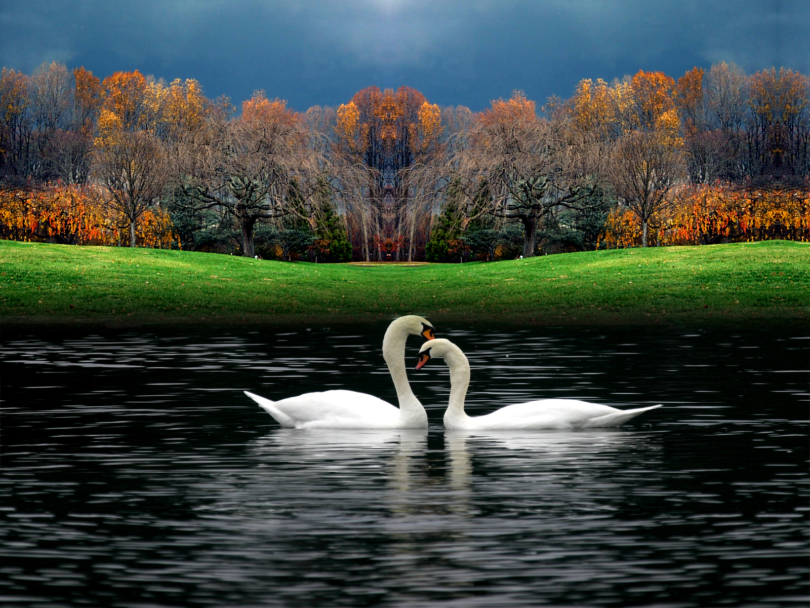 Beautiful Nature Wallpaper