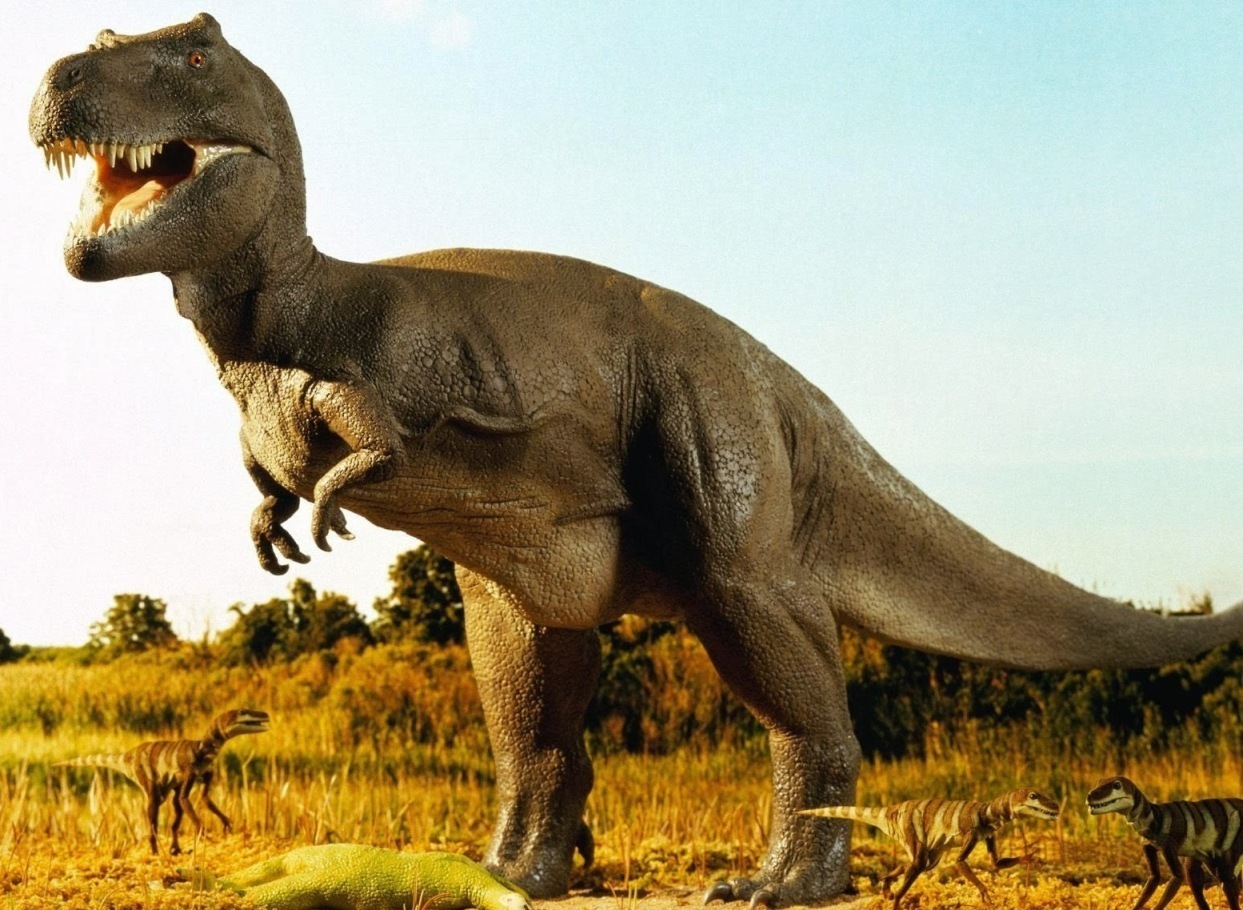 HD Dinosaur Wallpaper Picture For Desktop