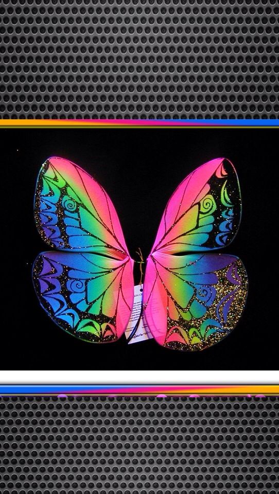 Emily Arroyo Laughlin On Butterfly Love In