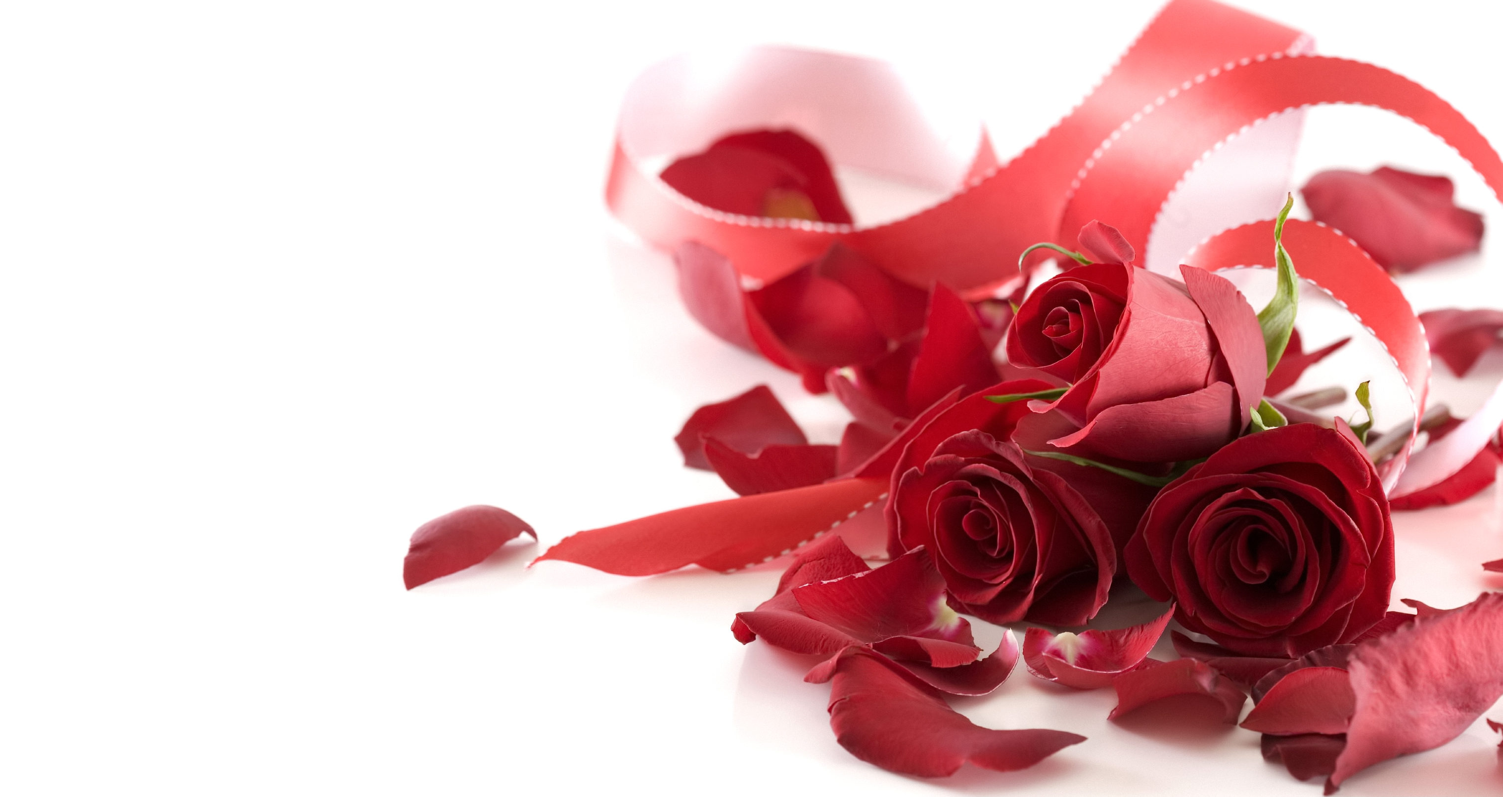 Red Flowers For Wedding Background HDflowerwallpaper