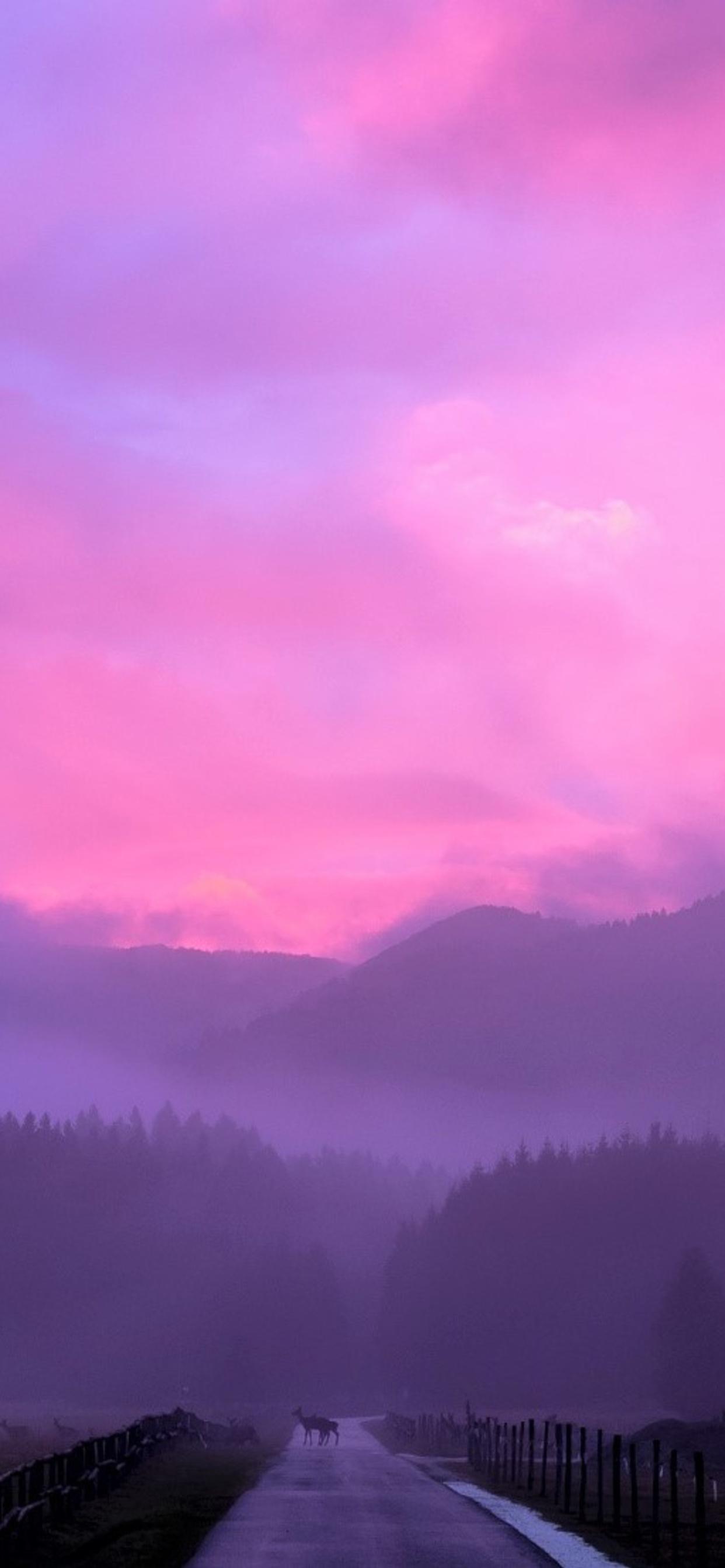 1242x2688 Misty Pink Sunset Iphone XS MAX HD 4k Wallpapers Images