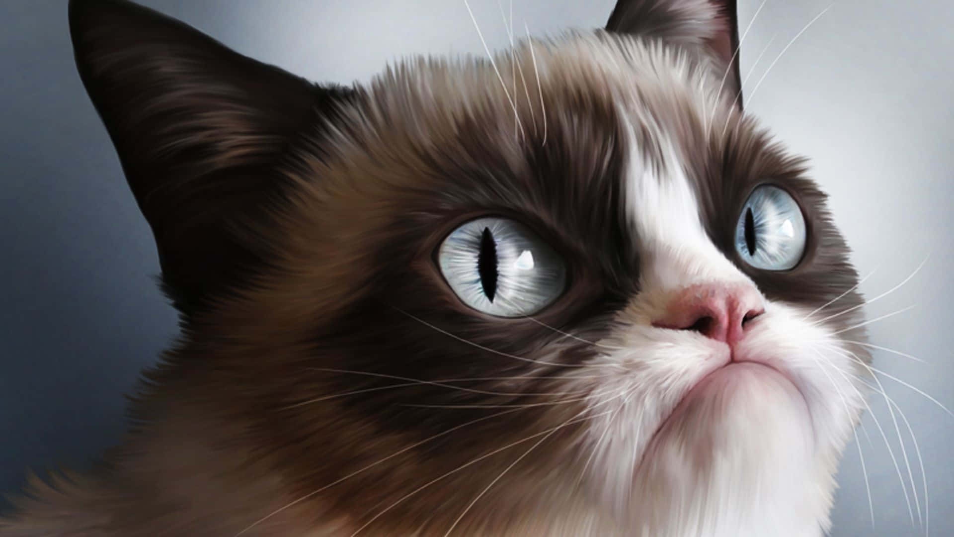 Grumpy Cat Background Wallpaper