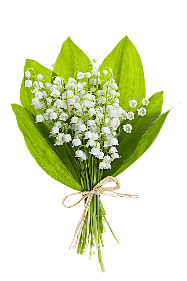 5ea1755fe0ebe600047945e1 Wallpaper