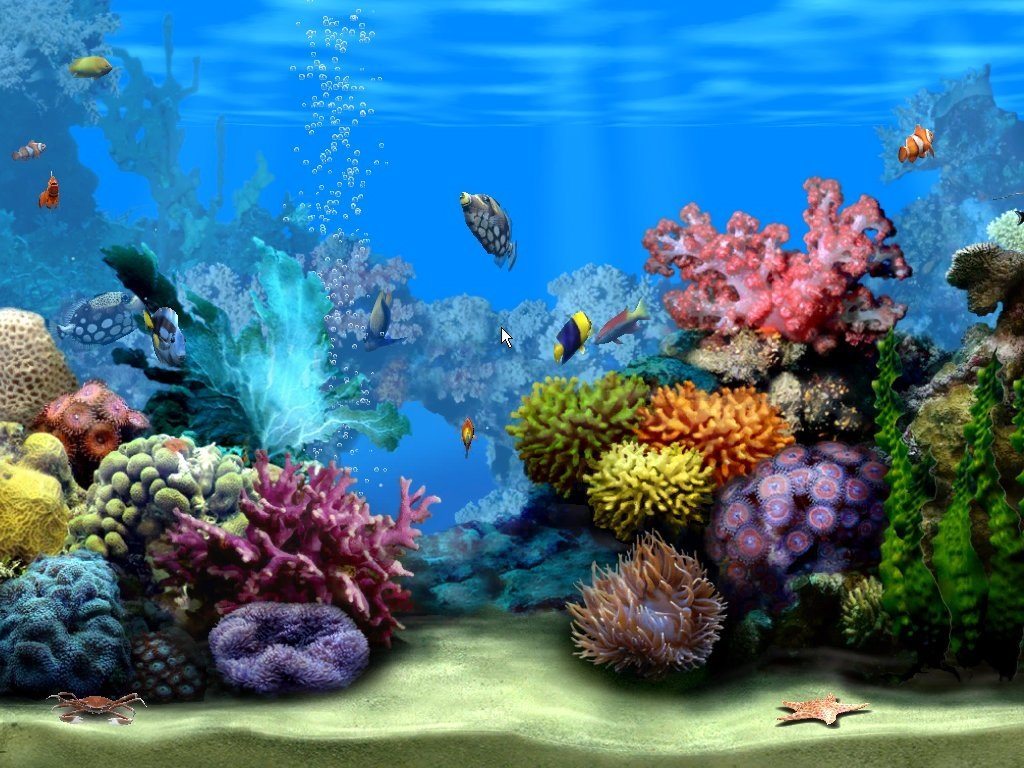 free living marine aquarium screensaver