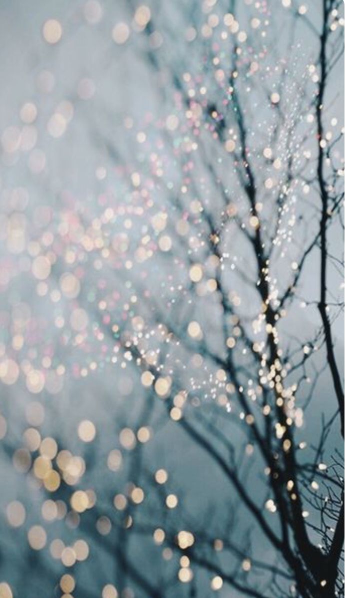 Blue gold white lights Aesthetics Winter Photography Fairy