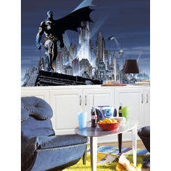 Roommates The Dark Knight Rises Xl Wallpaper Mural
